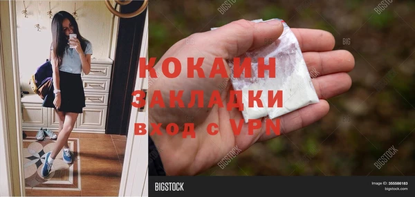 мяу мяу мука Дмитров