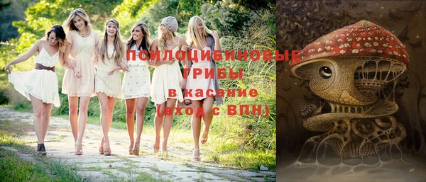 а пвп мука Дмитровск