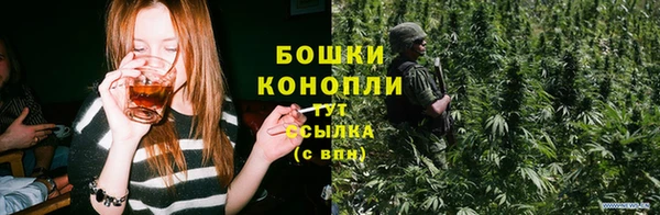 крисы Дмитриев