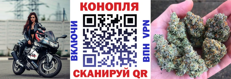 Бошки марихуана SATIVA & INDICA  Купить где  Грязи 